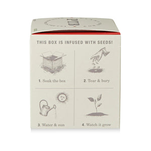 Red Poppy Flower - Pure Soy Candle Plantable Box