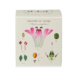 Somerset Thyme - Pure Soy Candle Plantable Box
