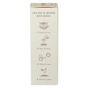 Sweet Sunflower - Plant The Box Scented Reed Diffuser