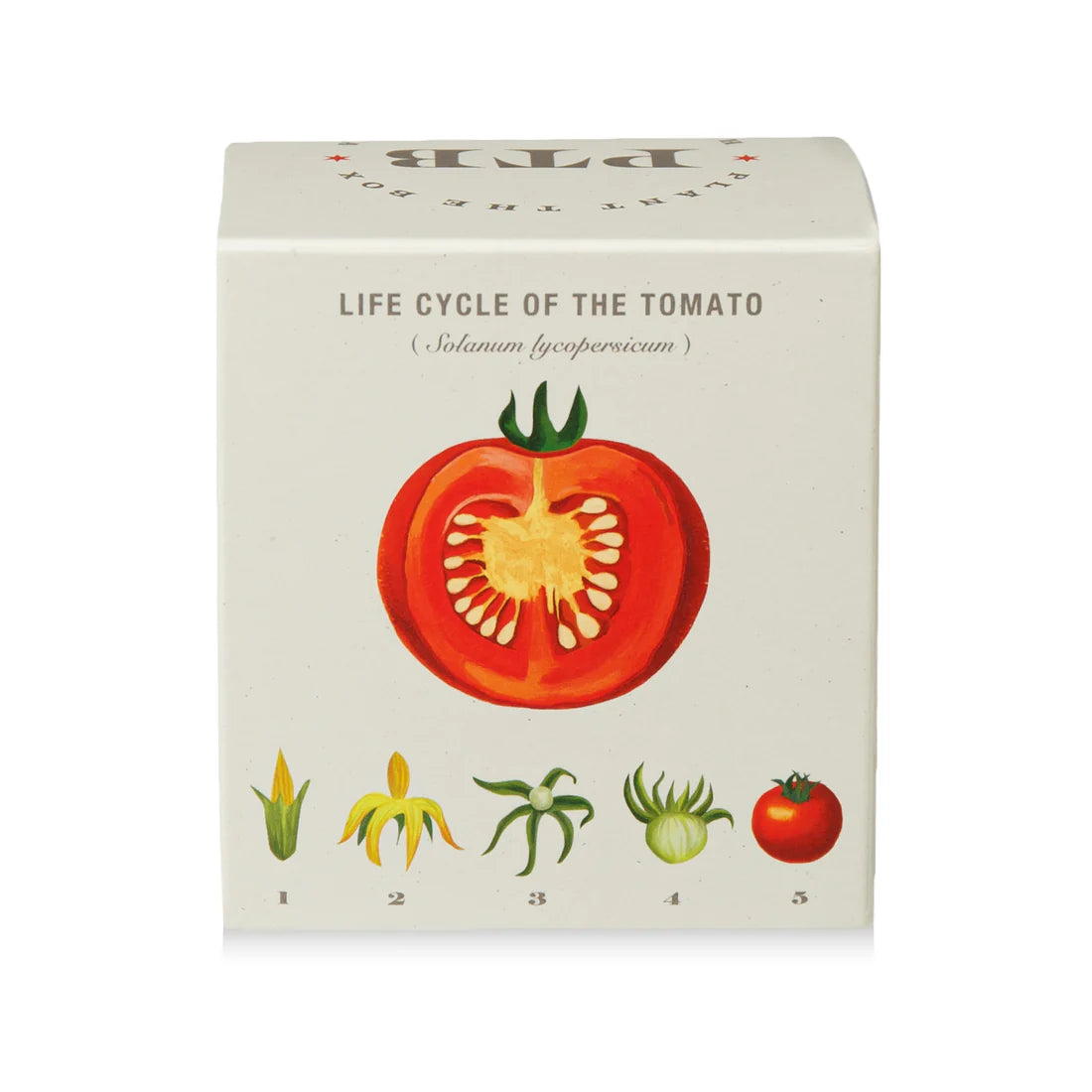 Wild Tomato Vine - Pure Soy Candle Plant The Box