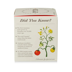 Wild Tomato Vine - Pure Soy Candle Plant The Box