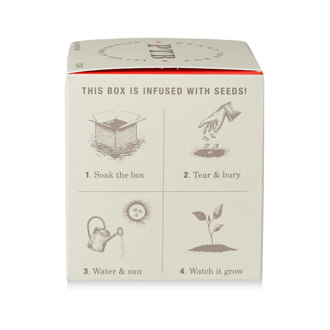 Wild Tomato Vine - Pure Soy Candle Plant The Box