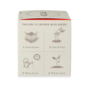 Wild Tomato Vine - Pure Soy Candle Plant The Box