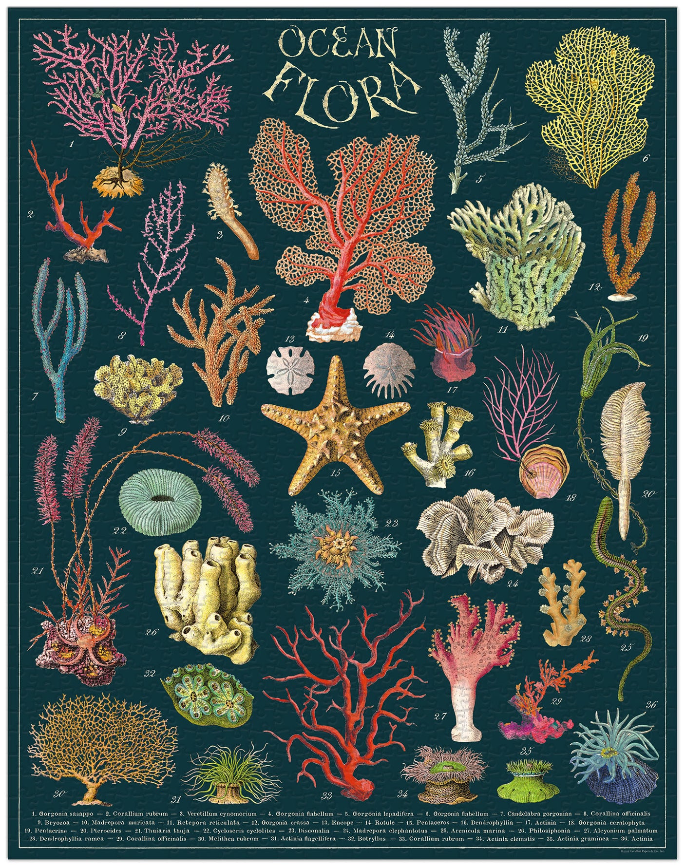 1000-Piece Vintage-Style Puzzle – Ocean Floor