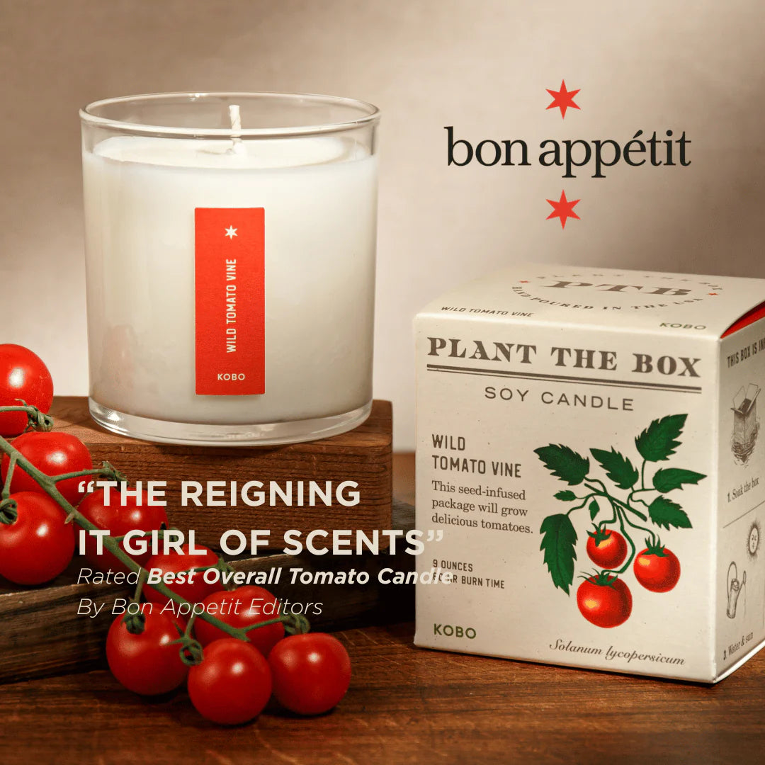 Wild Tomato Vine - Pure Soy Candle Plant The Box
