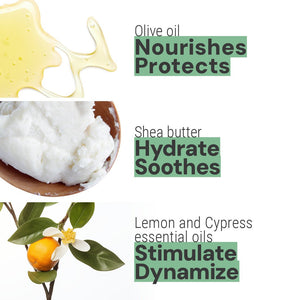 Provence Citrus Essential Oil Shea Butter Hand Cream