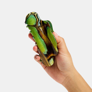Hand holding Chunks Nimbus Hair Claw Clip in Malachite Butterfly on a white background