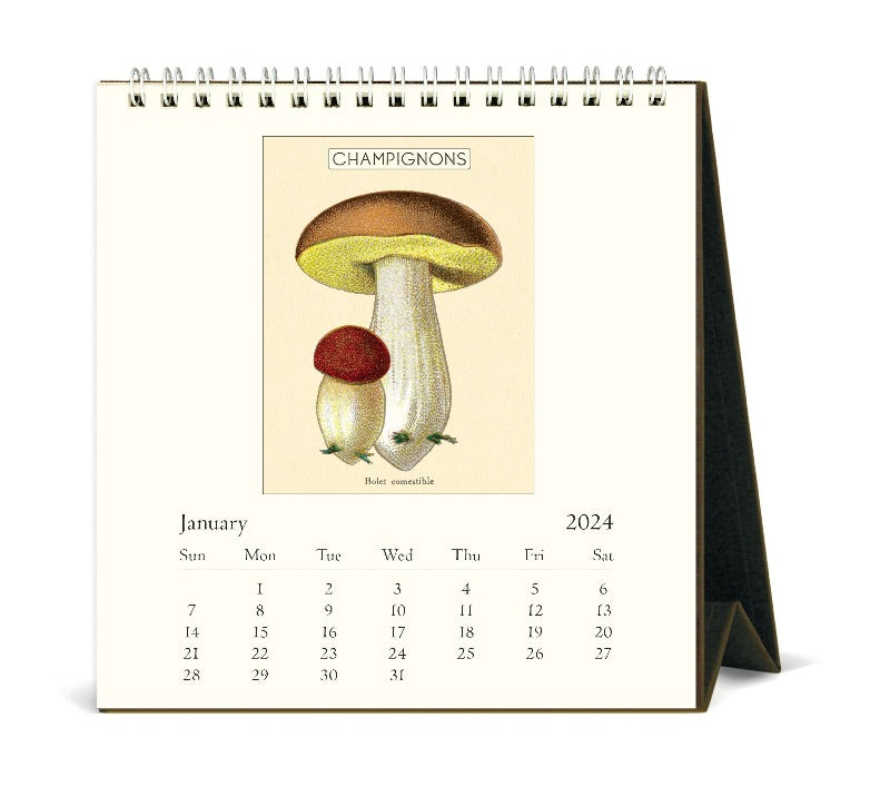 Vintage 2024 Desk Calendar Mushrooms Interior