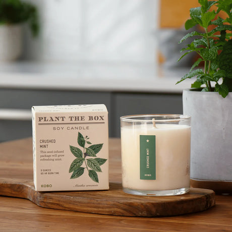 Crushed Mint - Pure Soy Candle Plantable Box