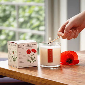 Red Poppy Flower - Pure Soy Candle Plantable Box