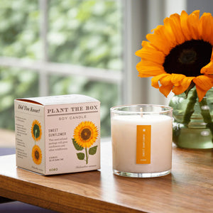 Sweet Sunflower - Pure Soy Plant The Box Candle