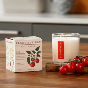 Wild Tomato Vine - Pure Soy Candle Plant The Box