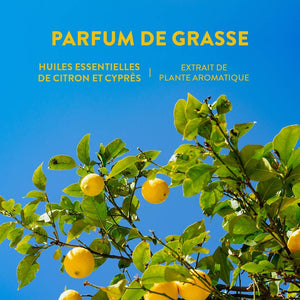 Essential Oil Eau de Toilette Roll-On Perfume - Soothing Provence Citrus