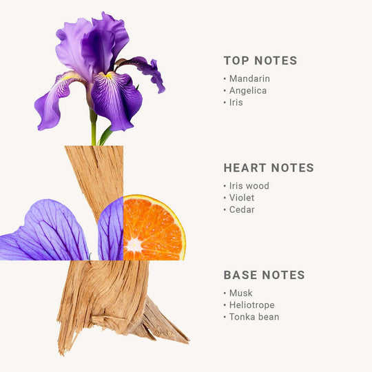 The top, heart, and base note of the Blooming Iris French Perfume with images of the materials.