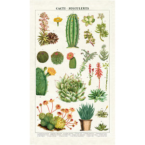 Vintage-Style Tea Towel - Succulents