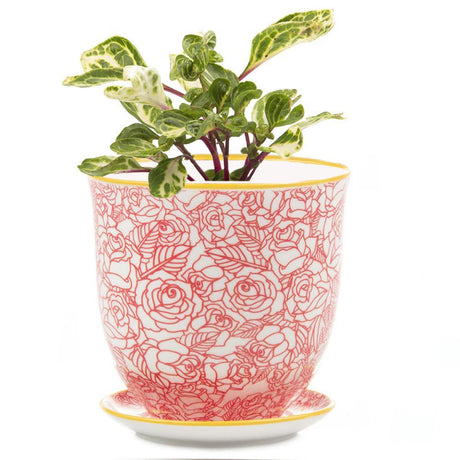 Red Roses - Liberte Planter Pot + Saucer