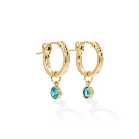December Birthstone Gold-Filled Hoop Earrings
