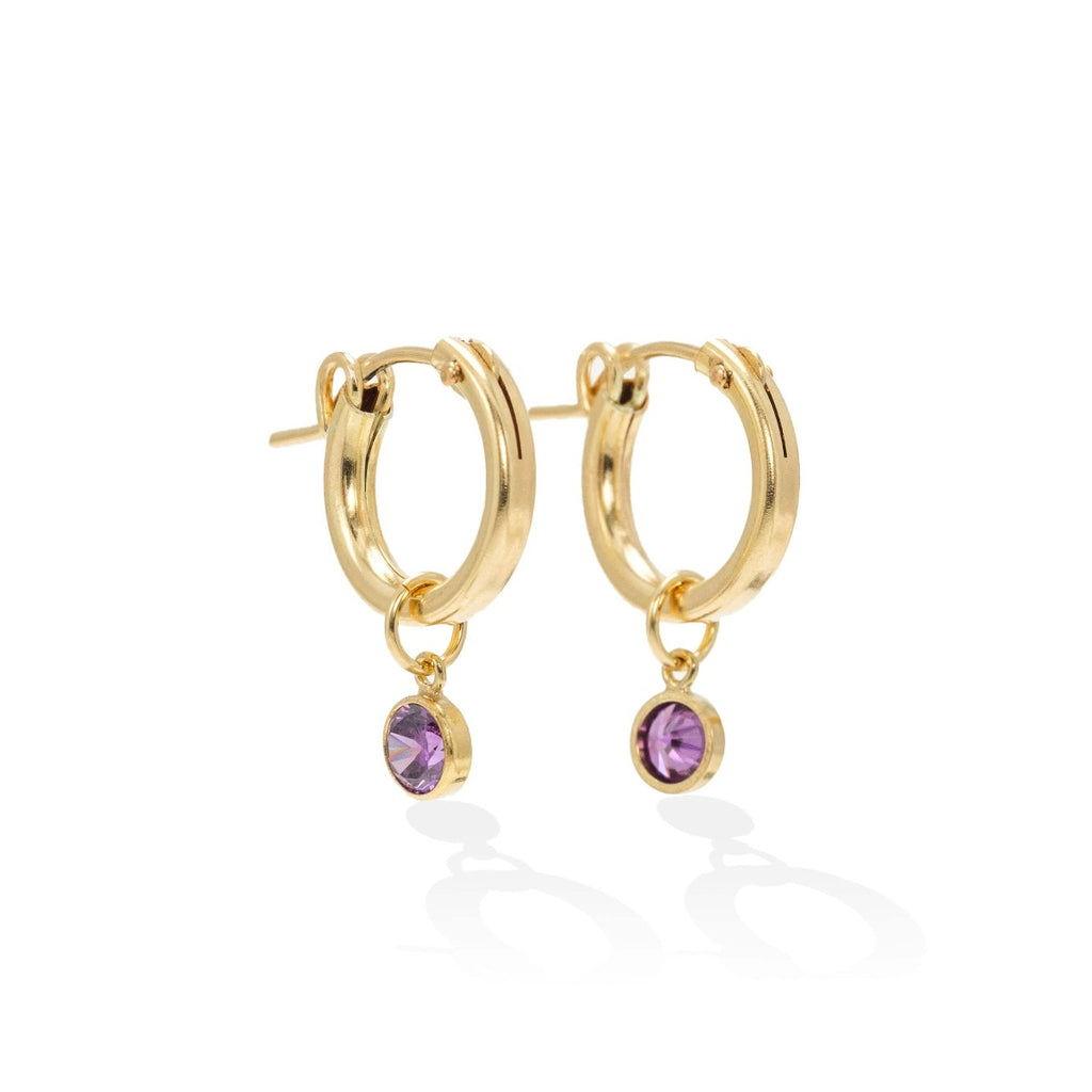 February Birthstone Gold-Filled Hoop Earrings