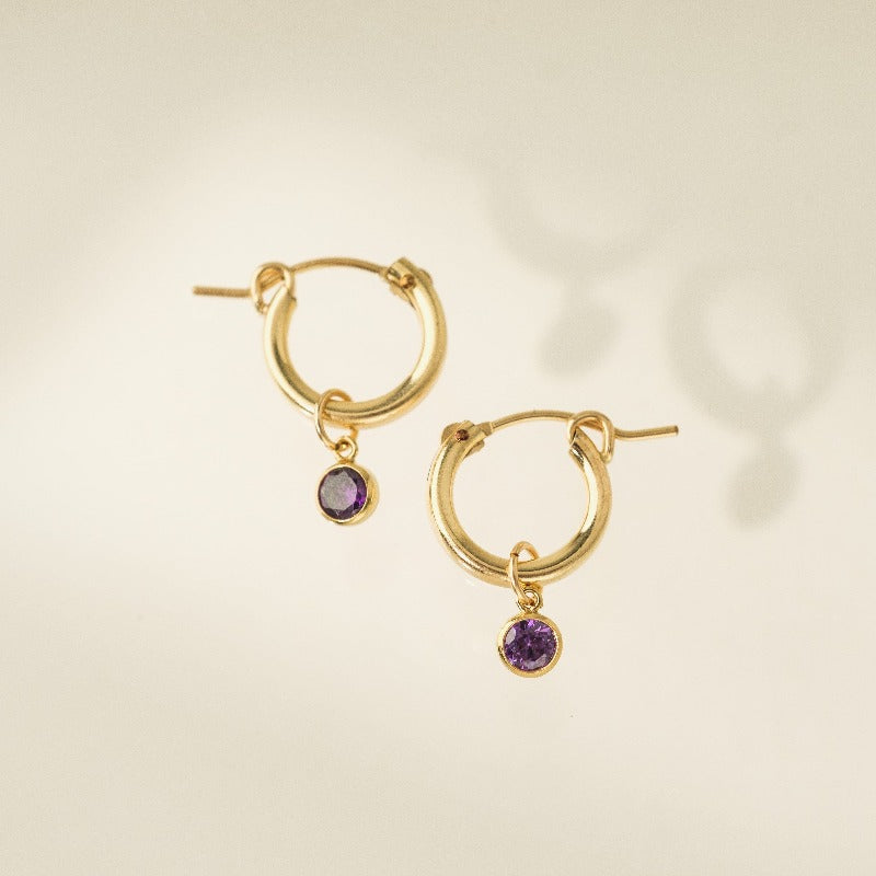 February Birthstone Gold-Filled Hoop Earrings