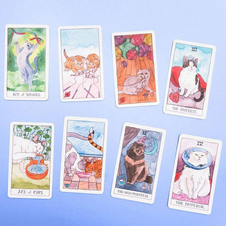 Cat Tarot Deck Example of Illustrations