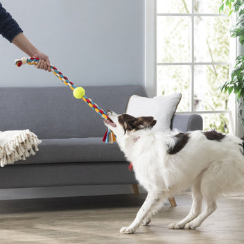 Kikkerland Kobe Make Your Own Tug Toy Kit 