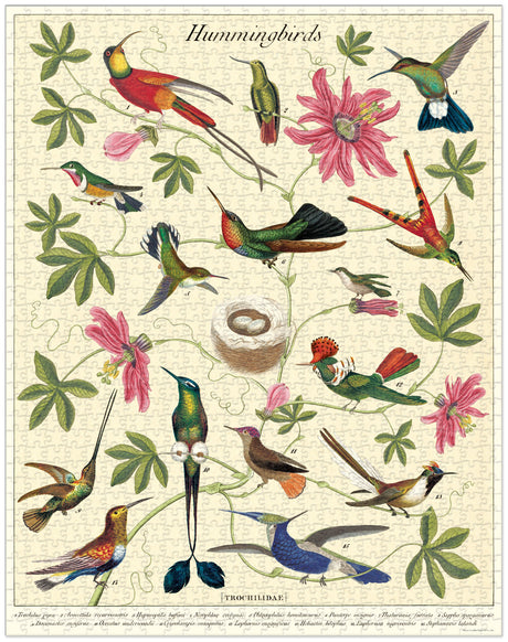 Hummingbird - Vintage 1000 Piece Puzzle