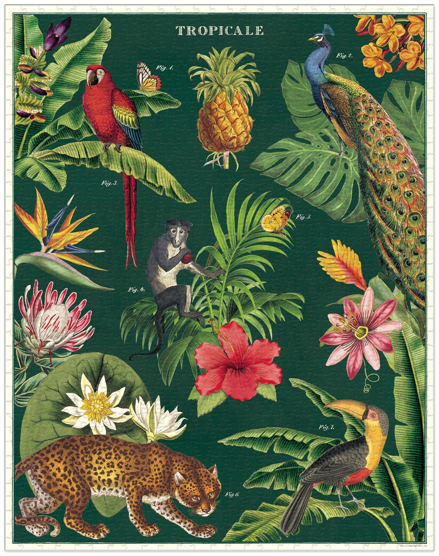 1000-Piece Vintage-Style Puzzle – Tropicale