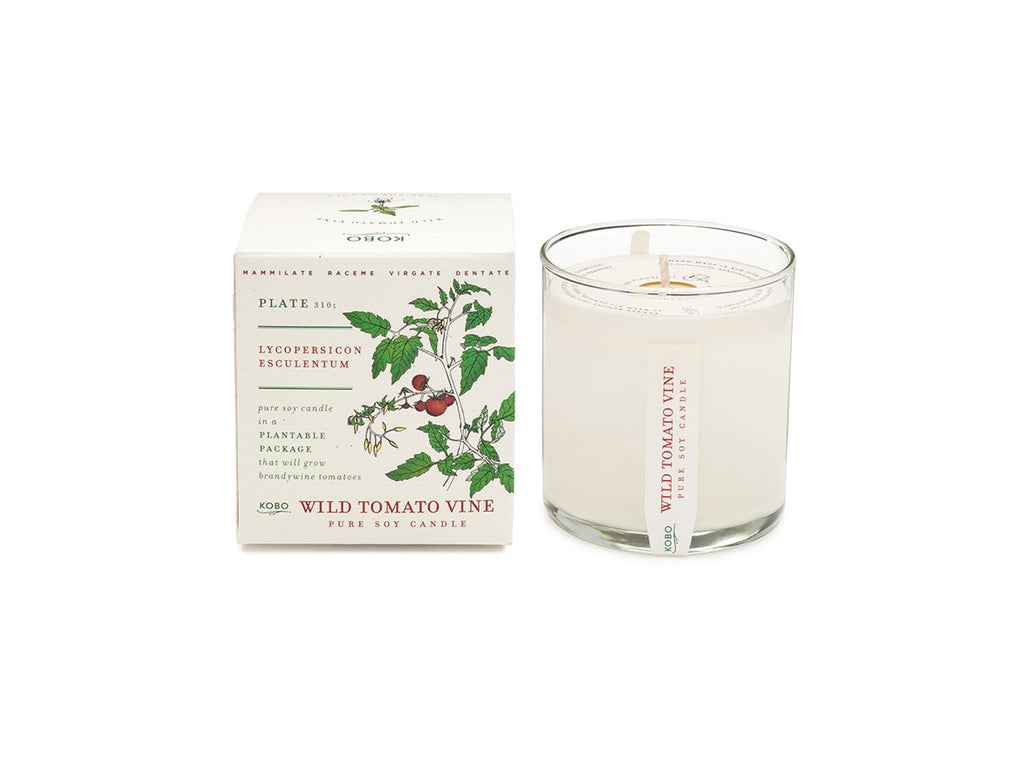KOBO Candles Plant The Box 100% Pure Soy Wax Candle - Wild Tomato Vine.