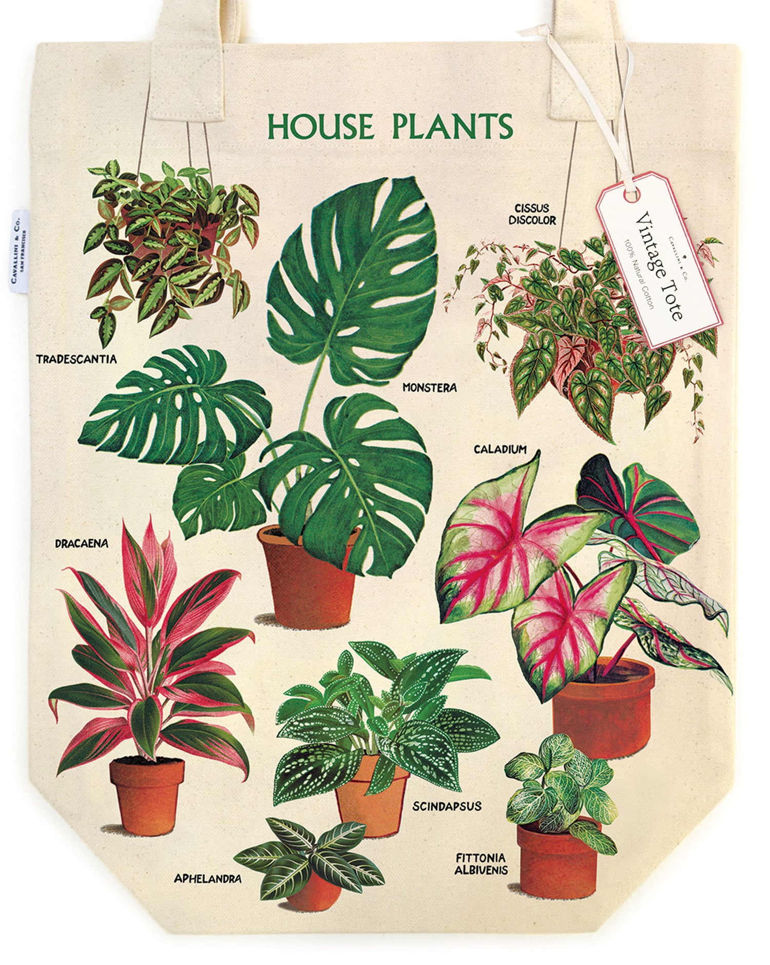 Houseplants - Vintage Tote Bag
