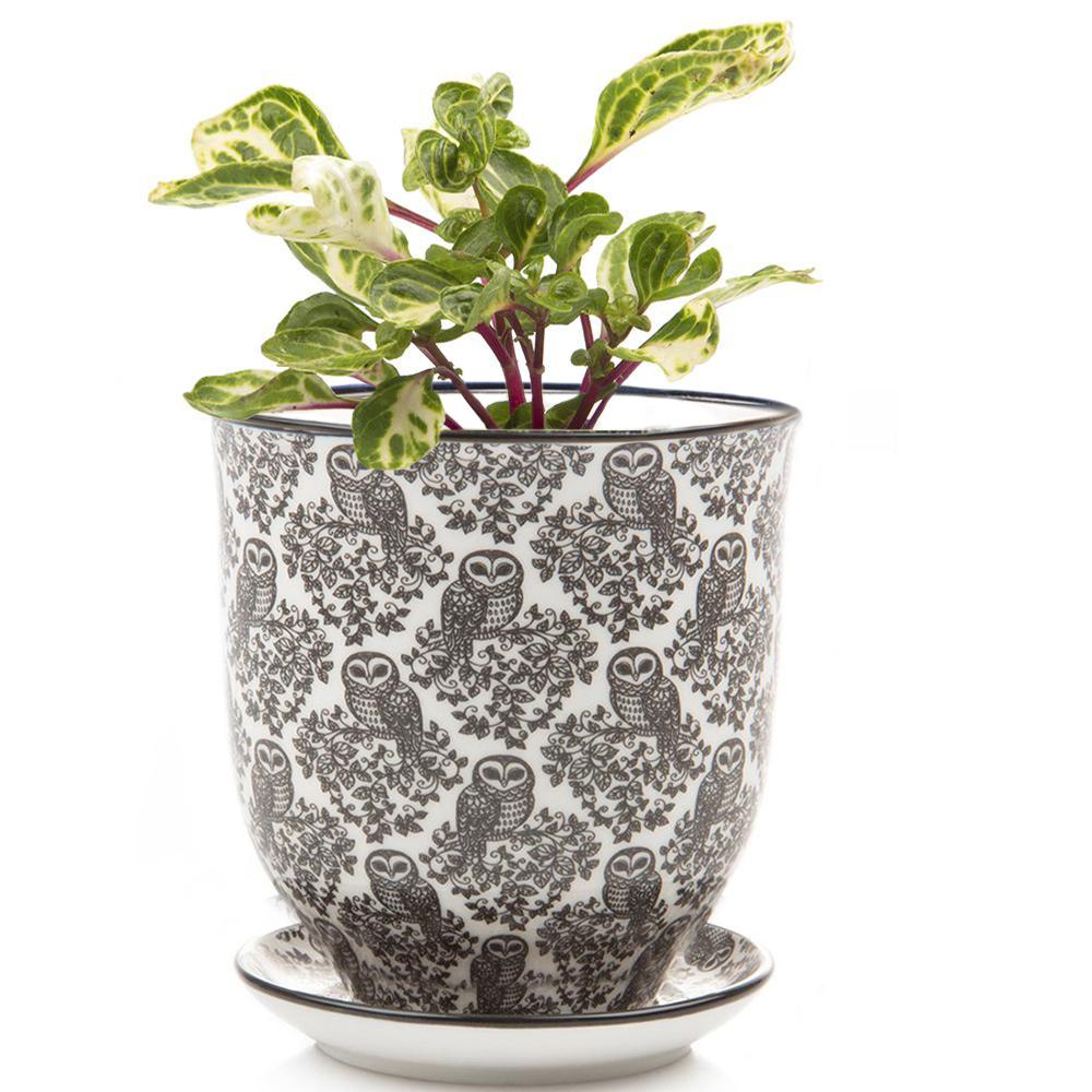 Chive Planter Pot styled with a houseplant. The black and white design on the pot is a repeating toile pattern of an owl on a leafy branch.