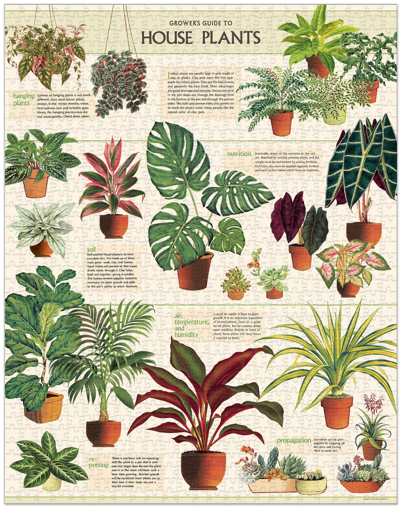 1000-Piece Vintage-Style Puzzle – House Plants