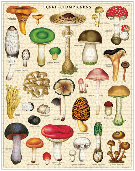 1000-Piece Vintage-Style Puzzle – Mushrooms