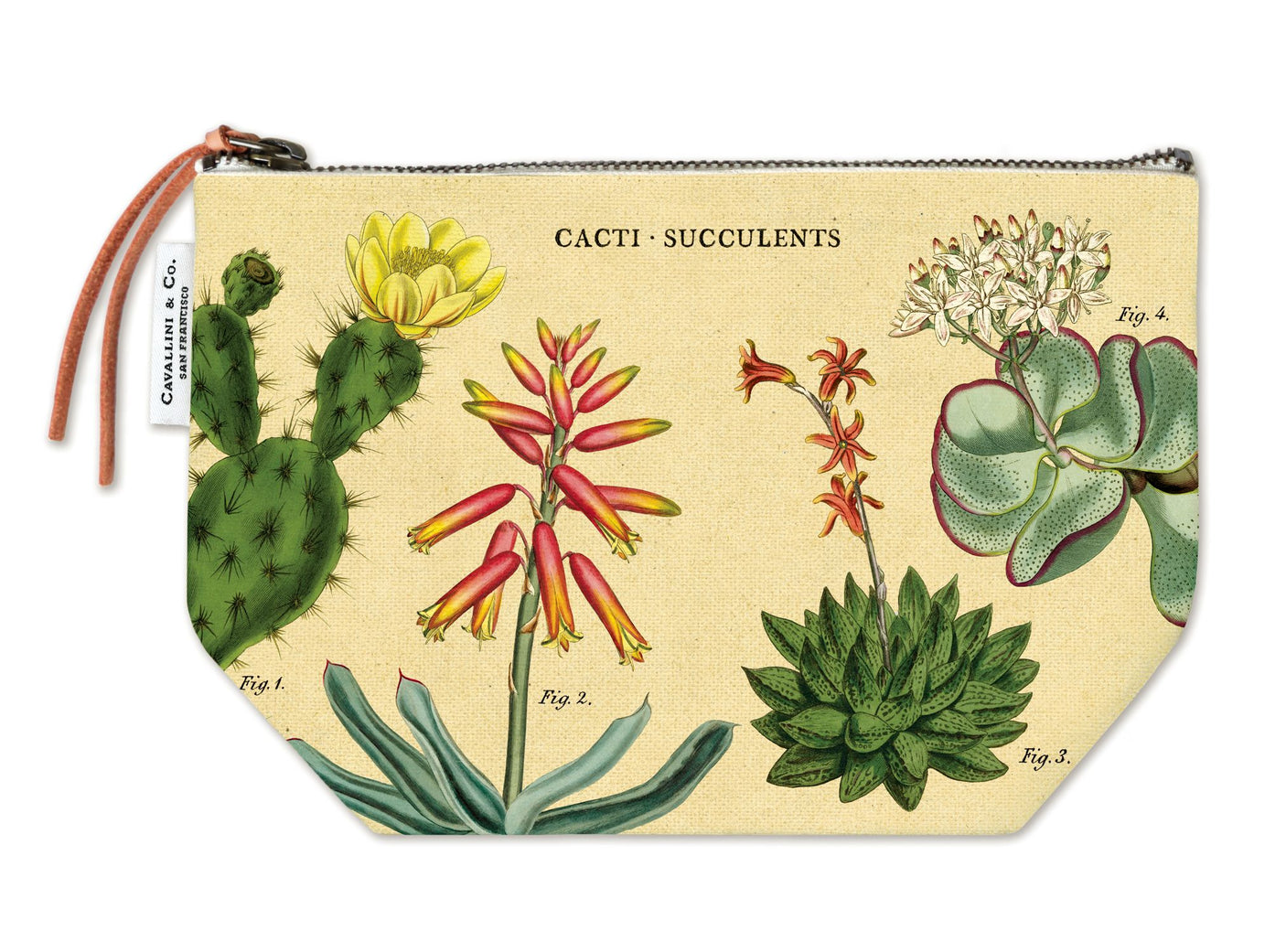 Cacti & Succulents - Vintage Zipper Pouch