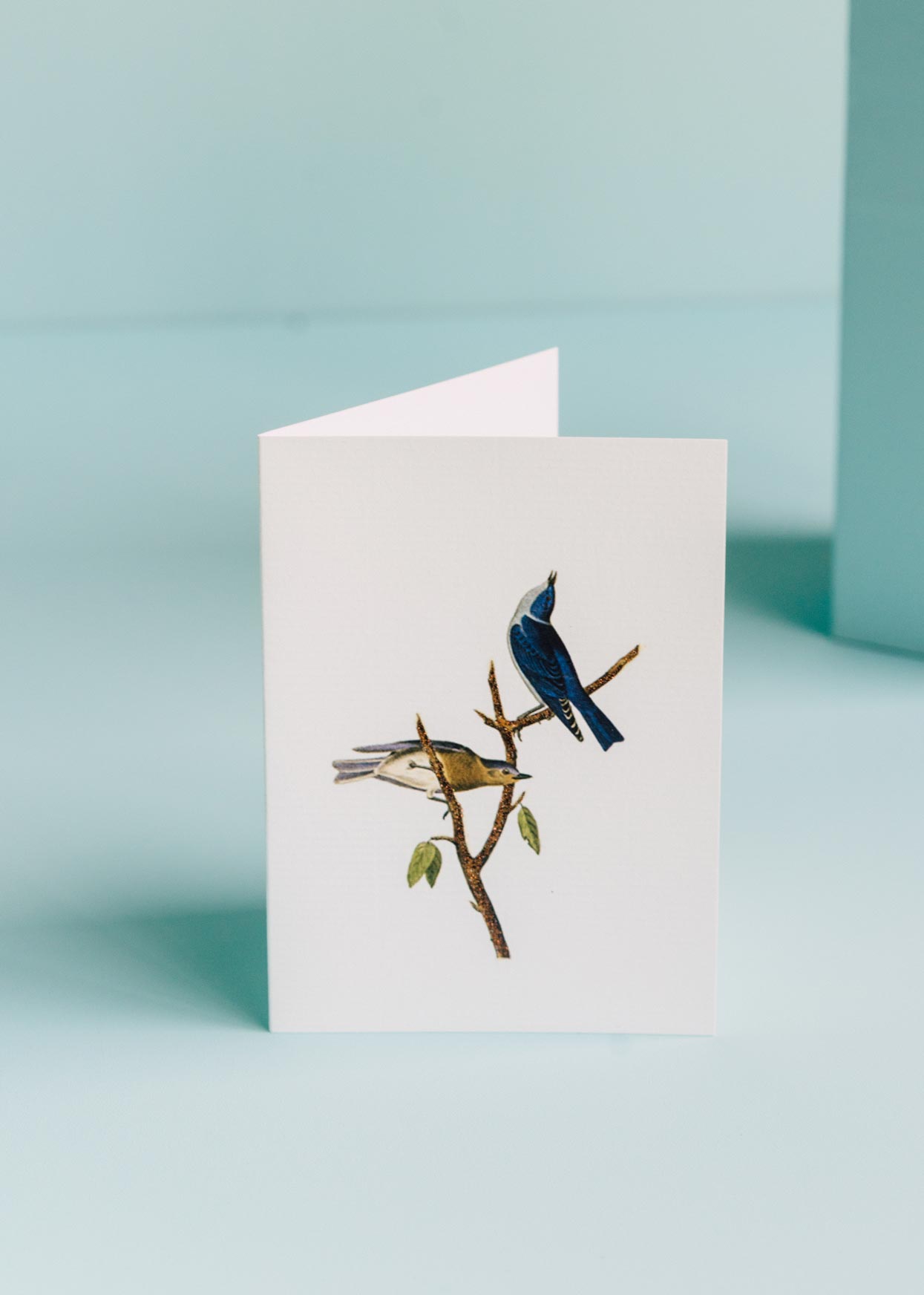 Blue Birds, Any Occasion Greeting Card