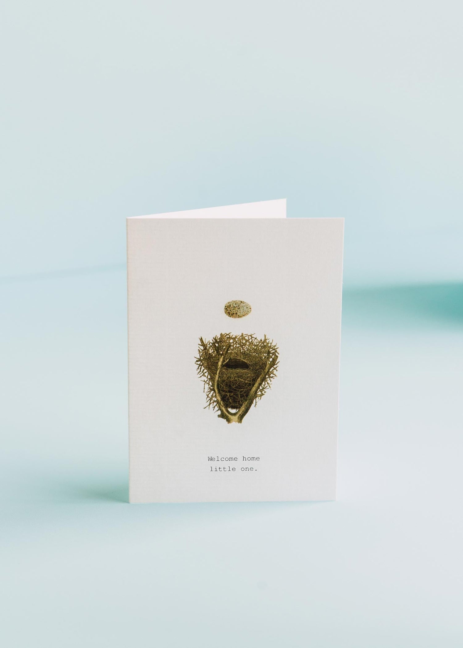 Welcome Home Little One (Nest) Greeting Card